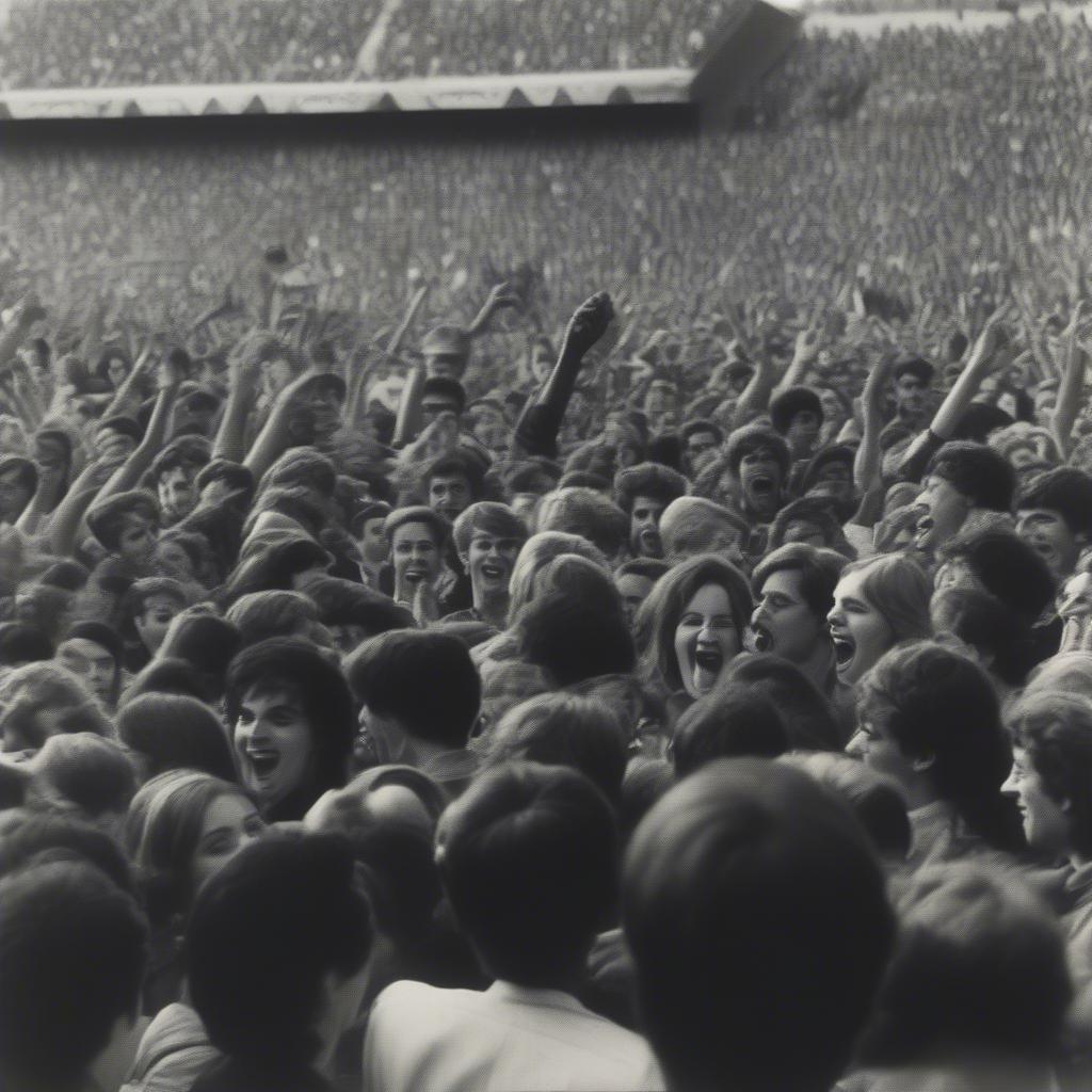 1968 Music Concert Crowd