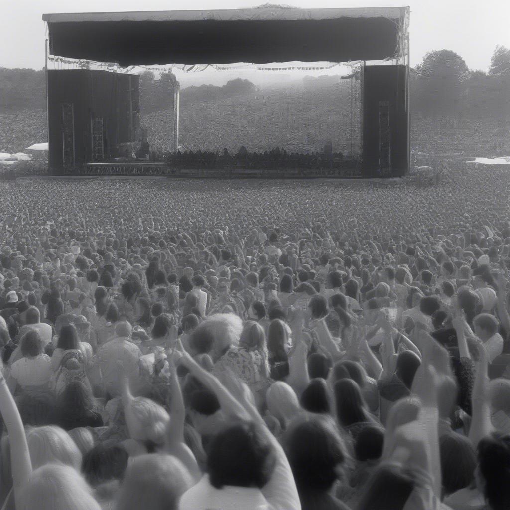 1970 Music Concert Crowd