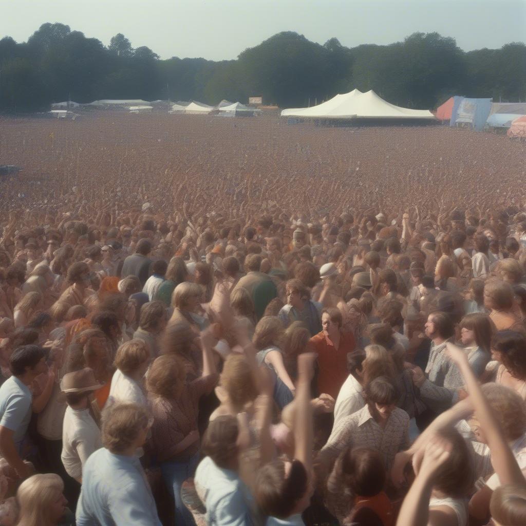 Crowd at a 1970s Music Festival