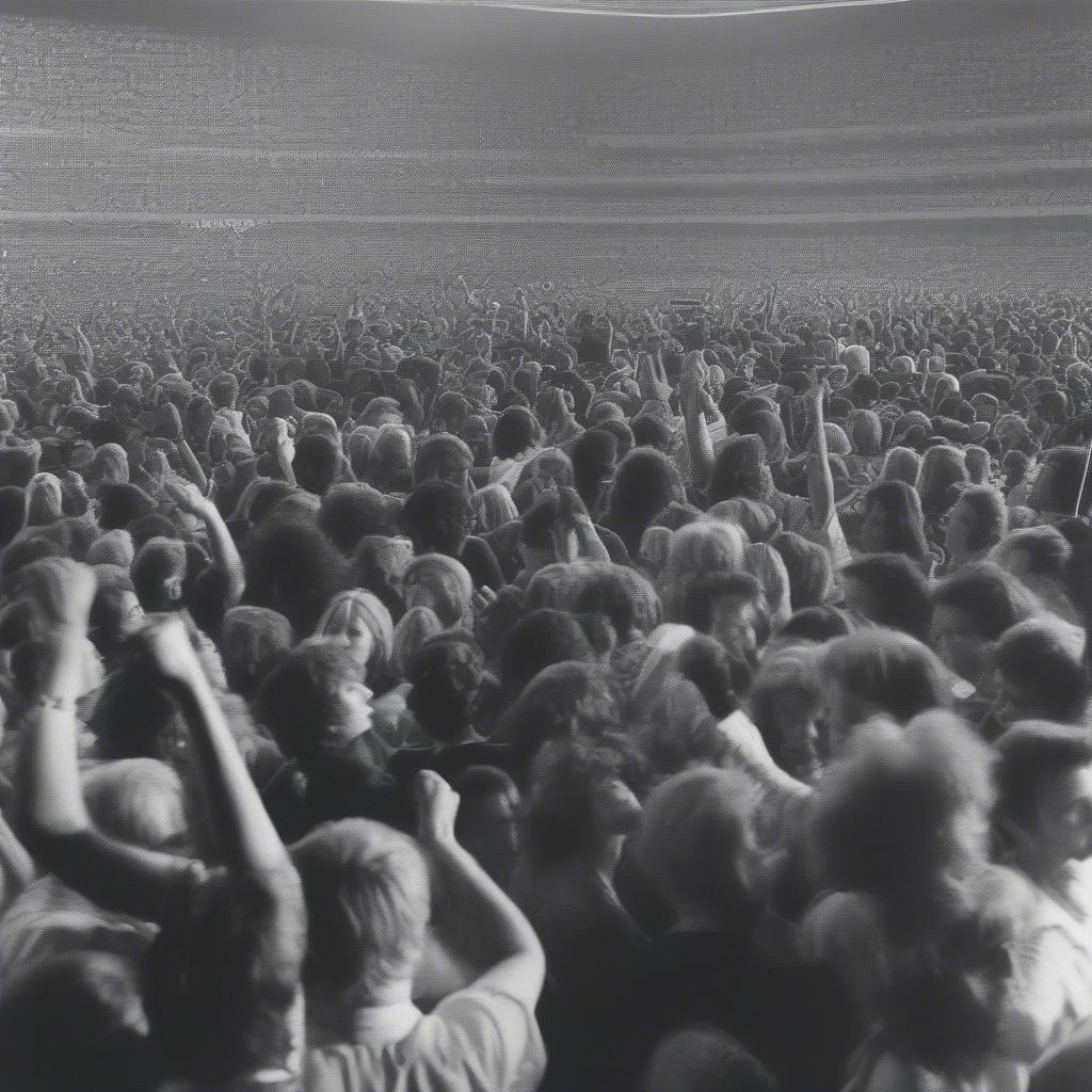 1977 Music Scene: Concert Crowd