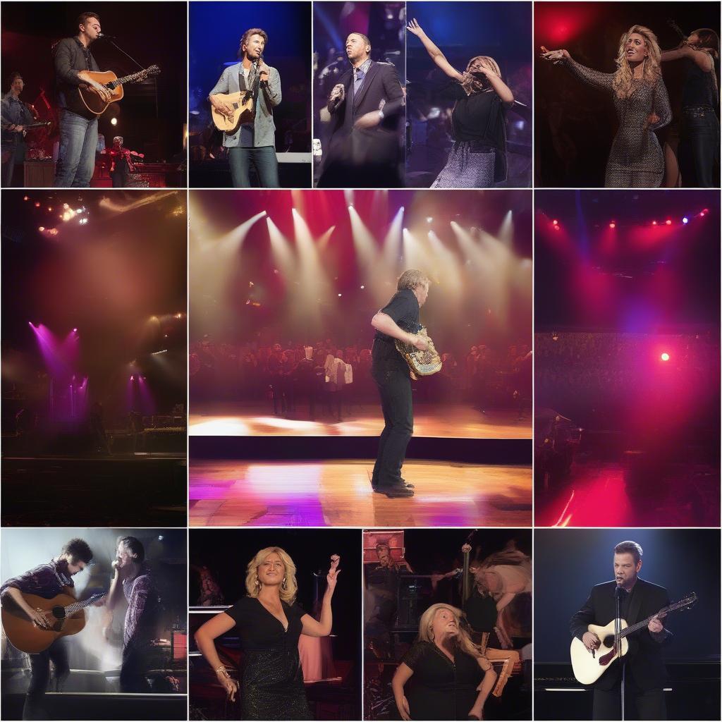 2014 Country Love Songs Live Performances