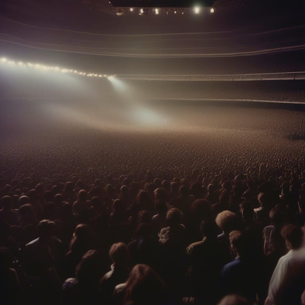 A massive crowd cheering at a 70s concert