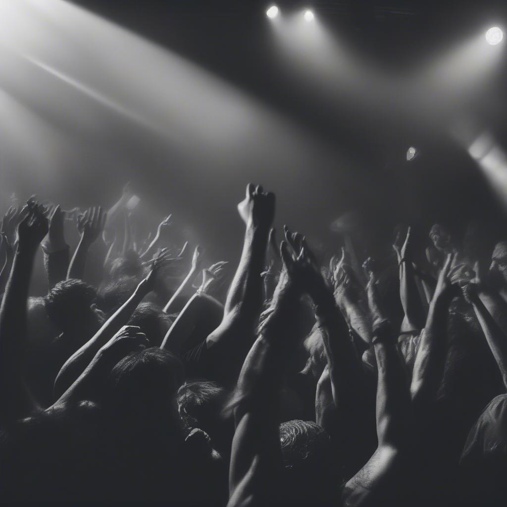 Black and white photographs capturing the intensity of a 90s heavy metal concert, showcasing the connection between the bands and their fans.