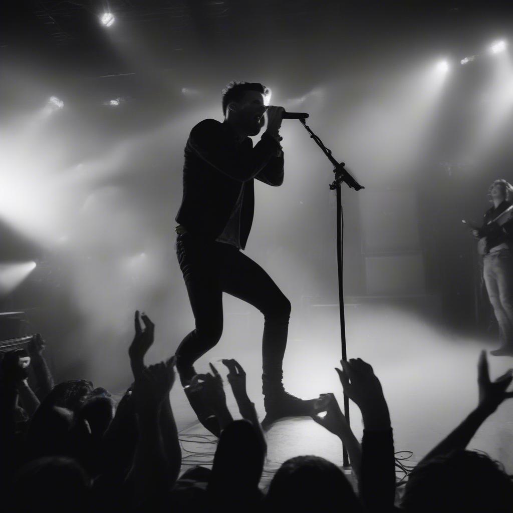 Anberlin Performing Live