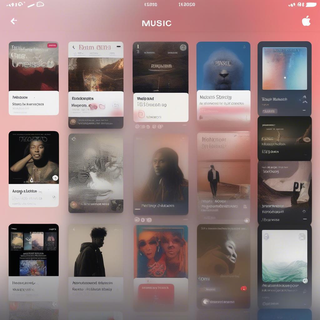 Apple Music Search Function