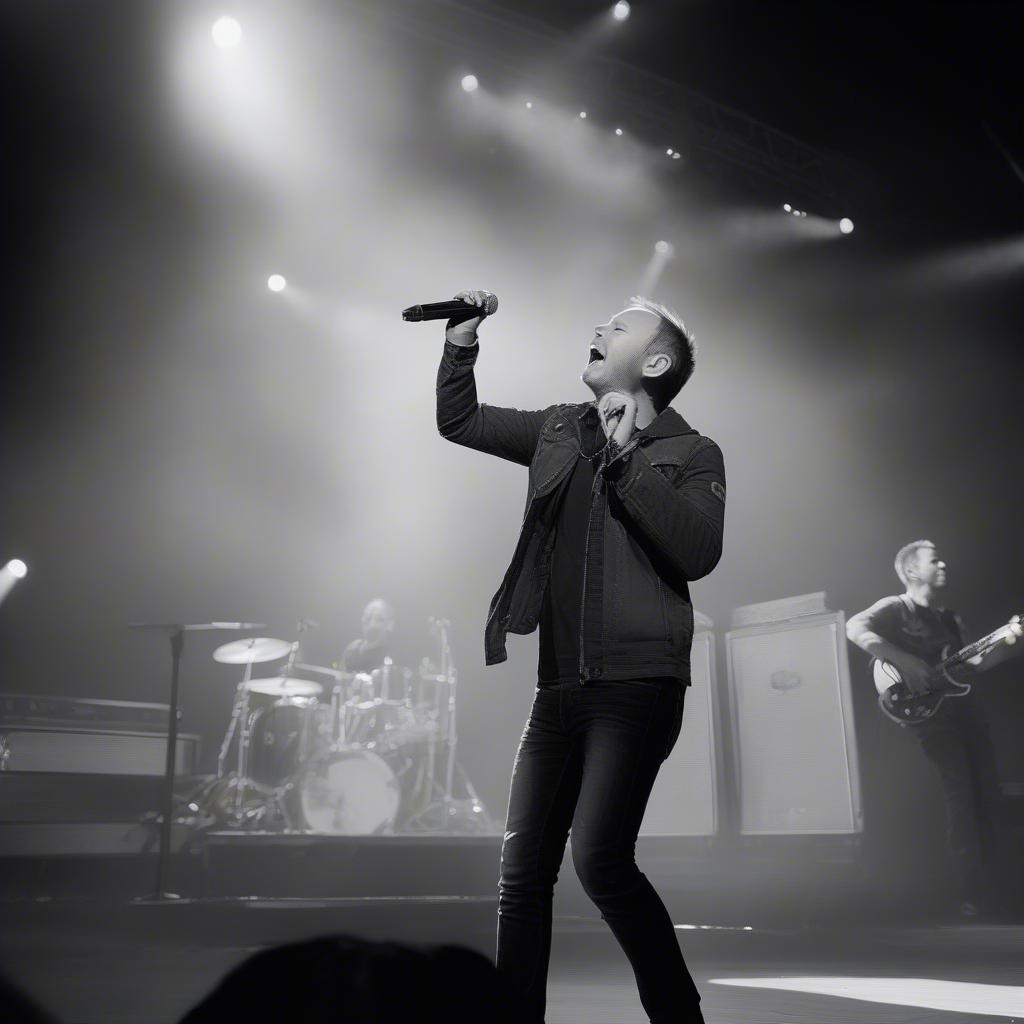 Chris Tomlin Performing Live in 2013