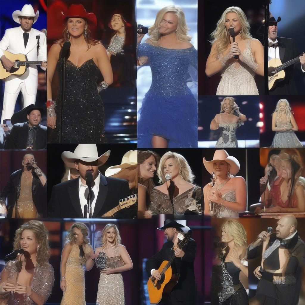 Country Music Awards of the 2000s: CMA Awards and ACM Awards