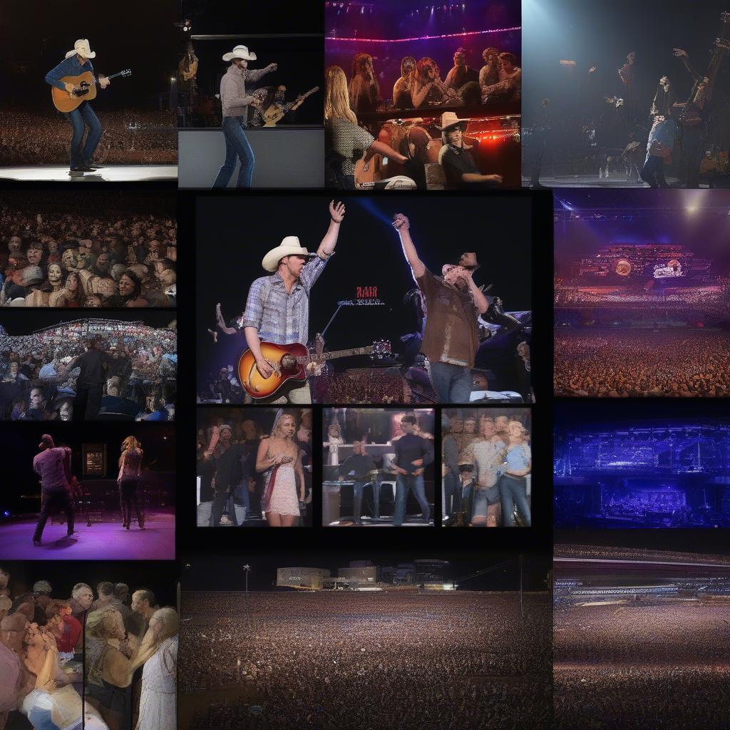 Country Music Concerts 2016