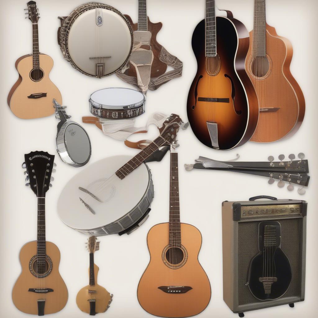 Instruments Used in Country Music