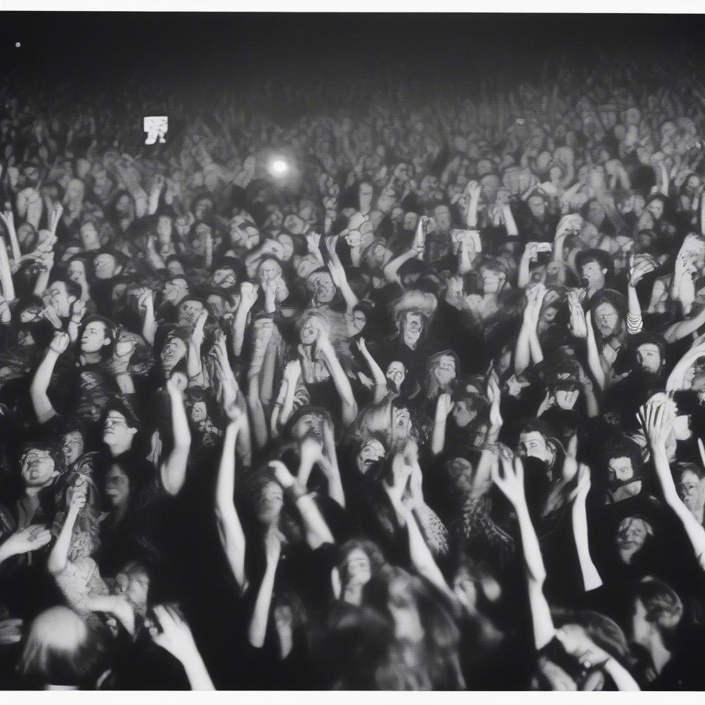 Led Zeppelin Fans at a Concert