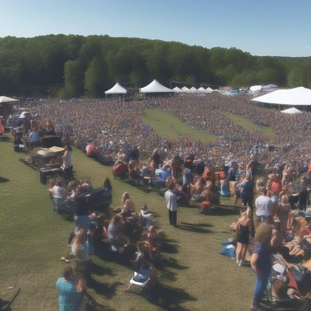 NedFest 2018 Crowd