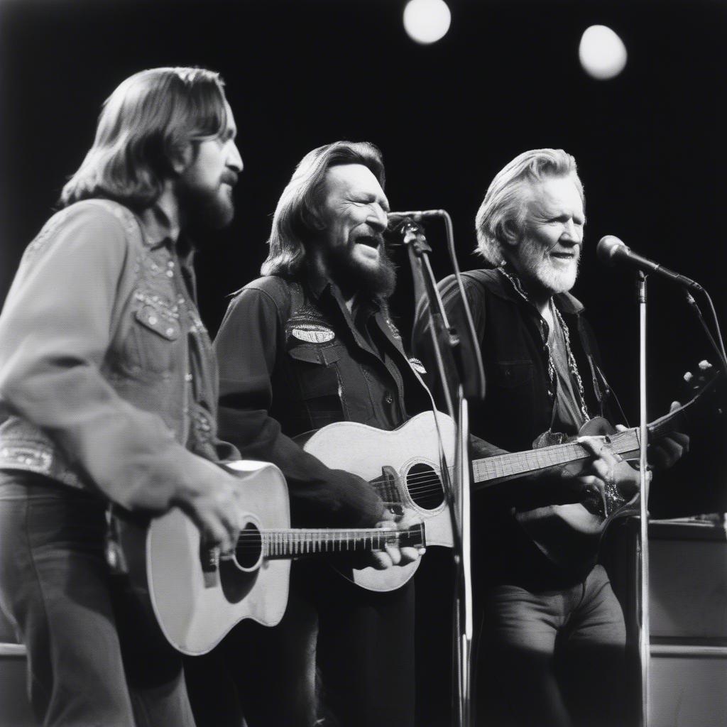 Outlaw Country Icons of the 1970s