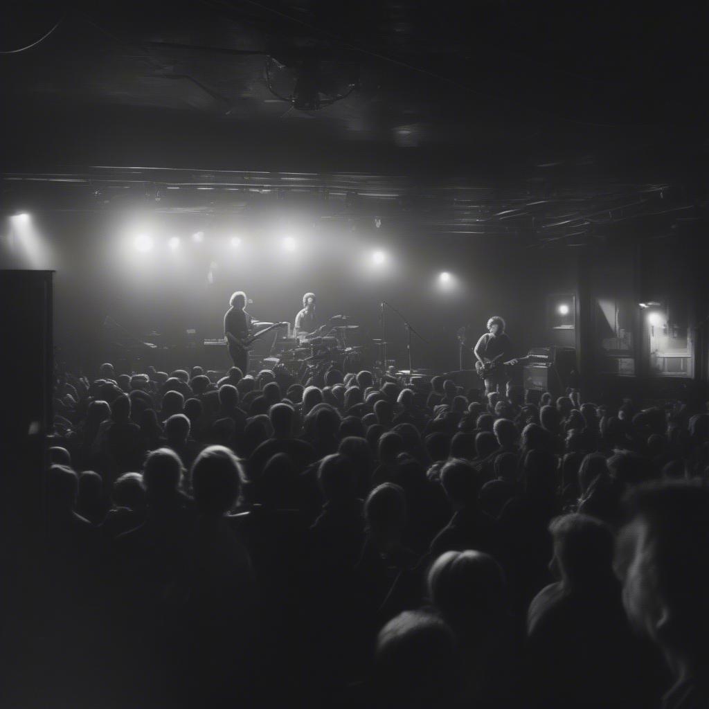 Phish performing in a small venue during their early years, demonstrating their close connection with the audience and the raw energy of their early performances.