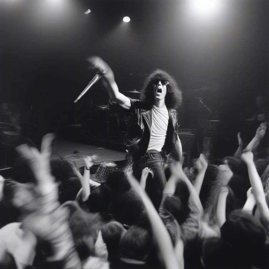 The Ramones performing live on stage