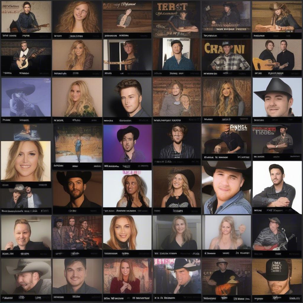 Emerging Country Music Artists