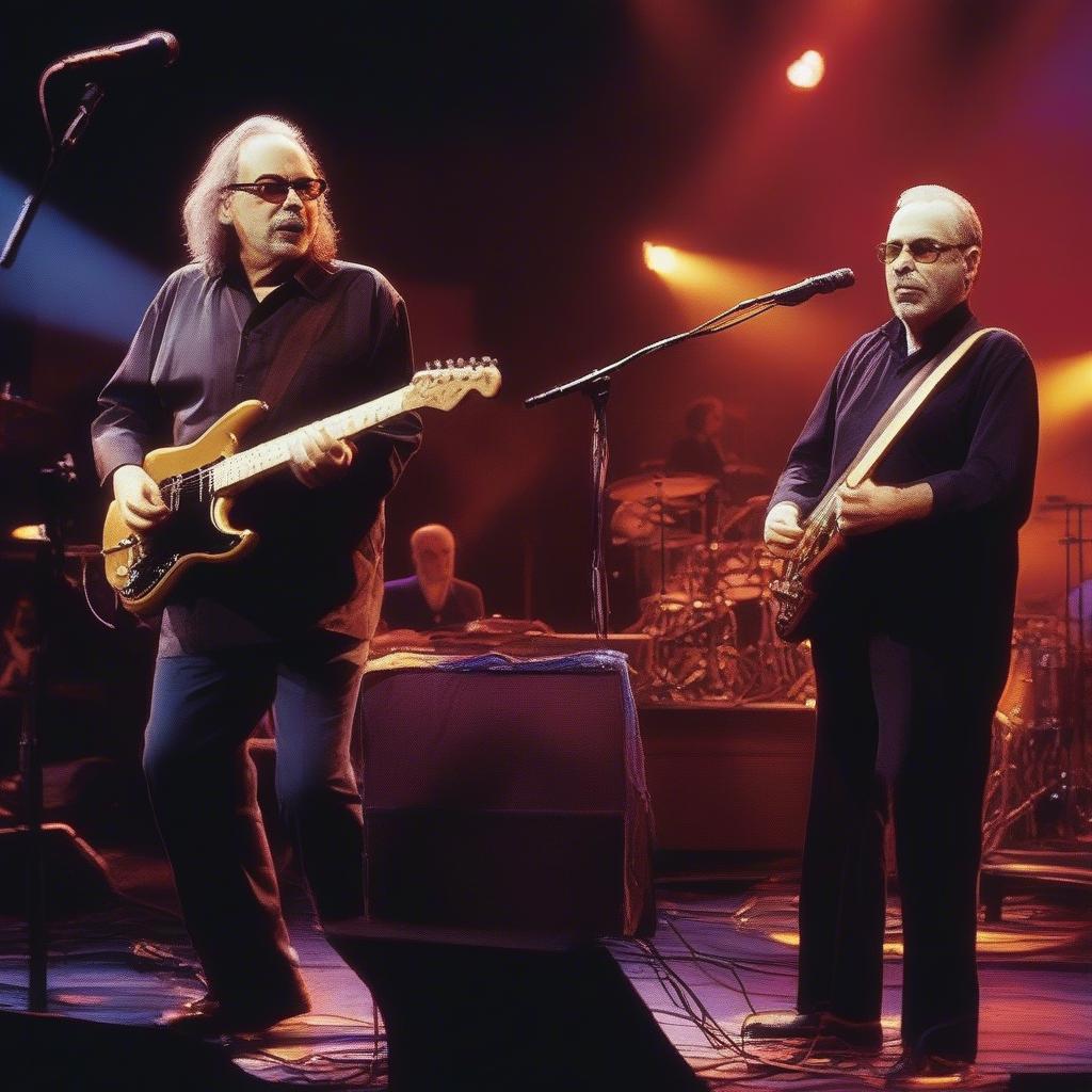 Steely Dan live concert