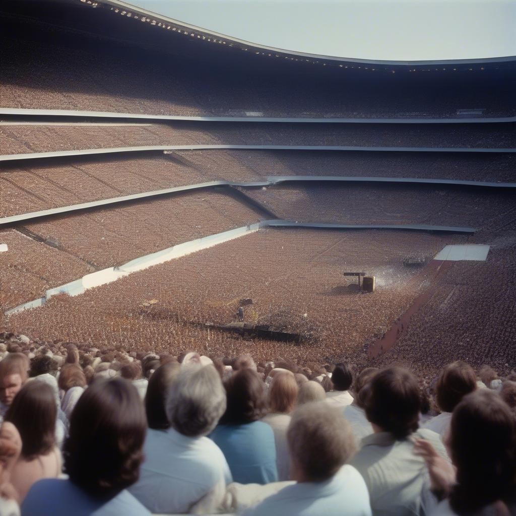 Steve Miller Band in Arena Rock Era