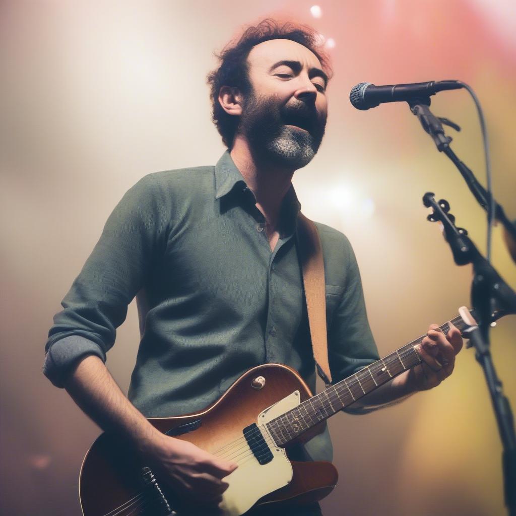 The Shins Performing Australia Live