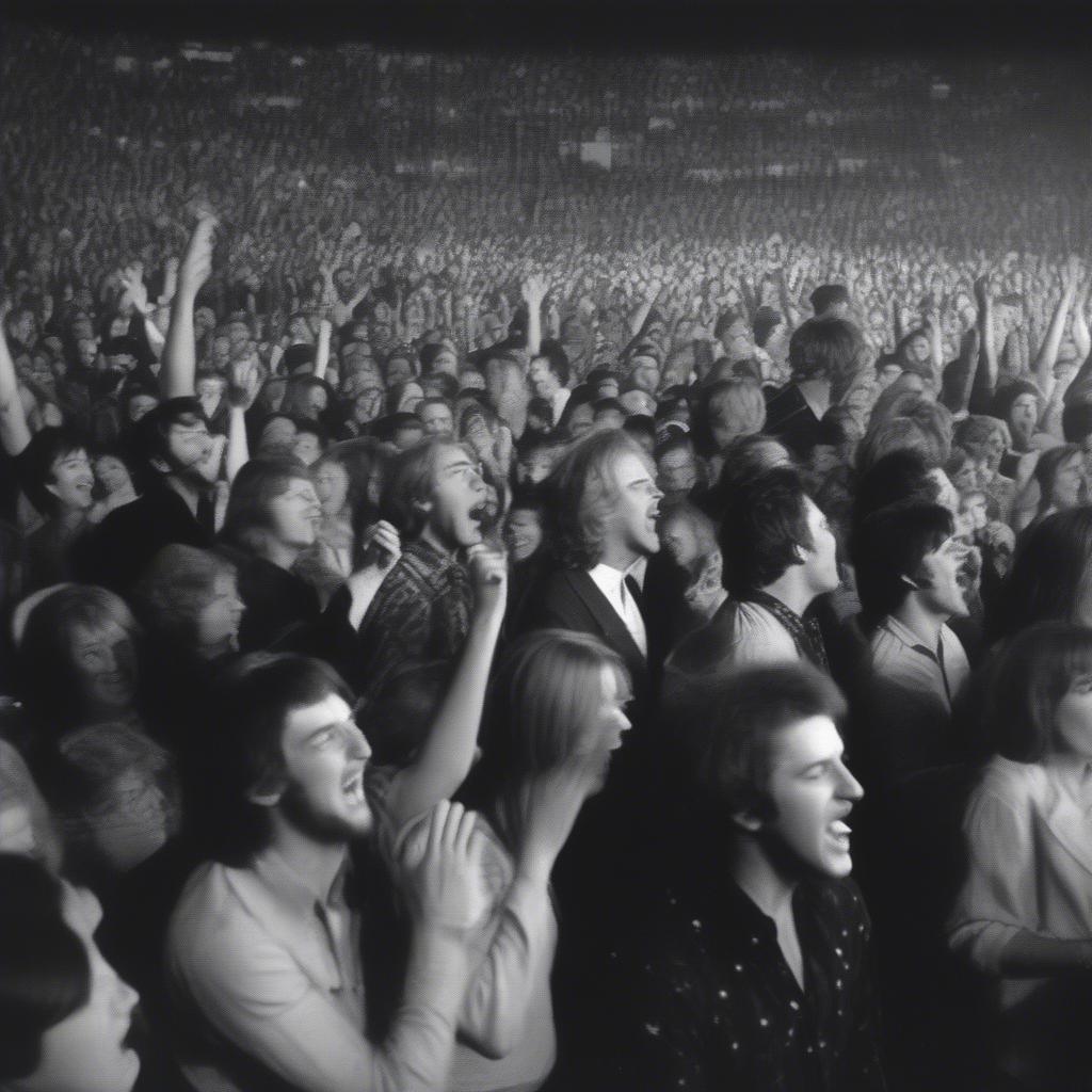 Three Dog Night Fans at a Concert