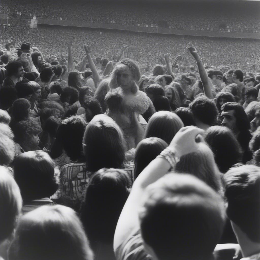 Live Rock Concerts of 1972