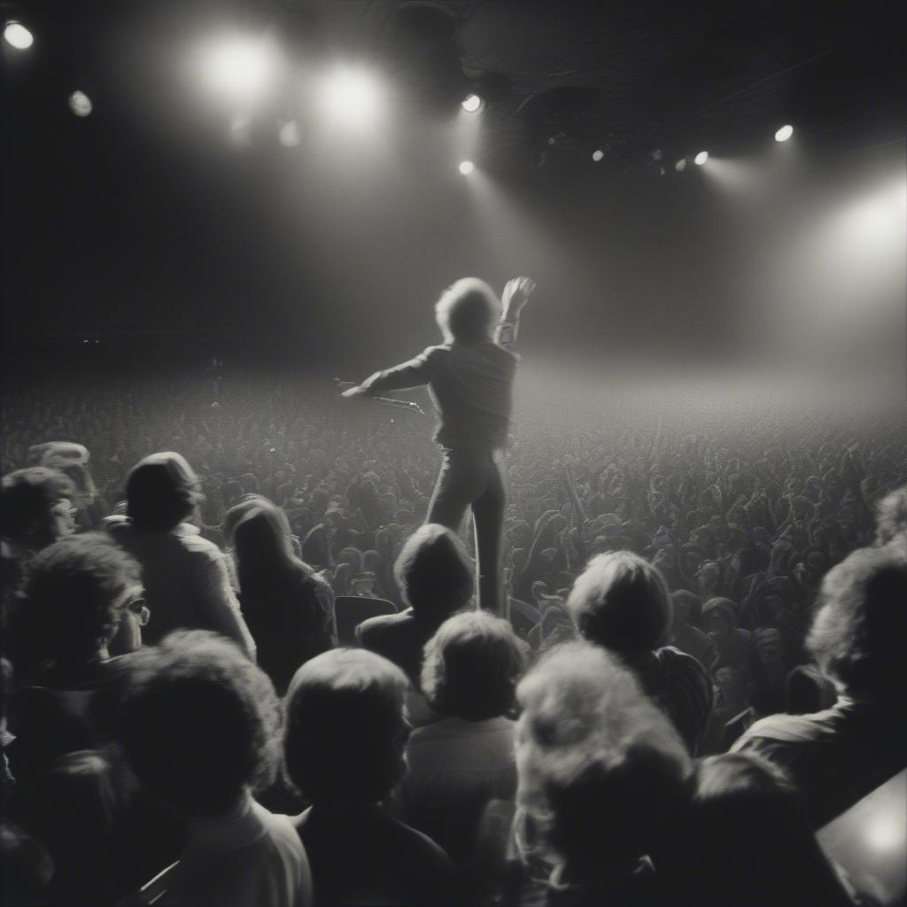 Live Concert Performance in 1973