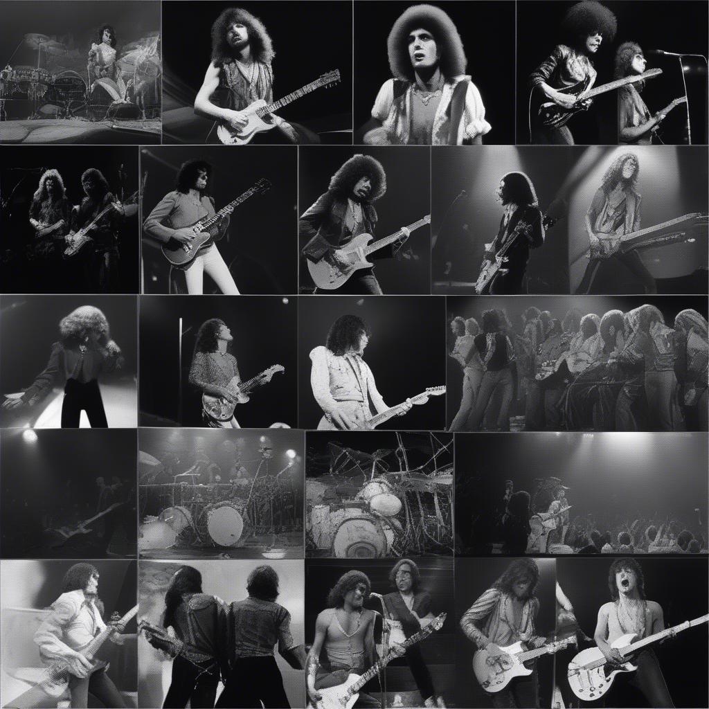 1975 Rock Artists Live Performances