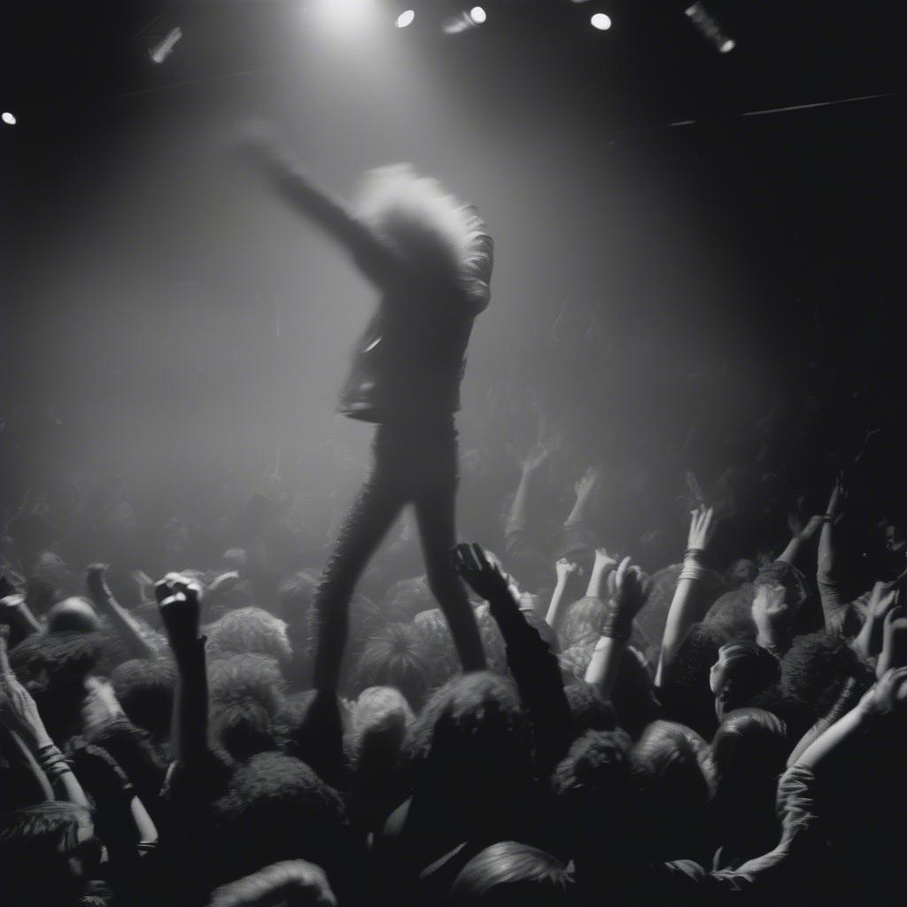 Crowd at a 1978 punk rock concert.