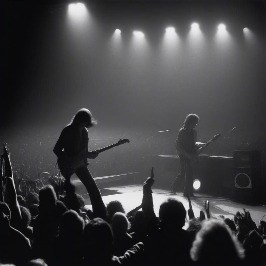 Rock stars performing live on stage in 1978.