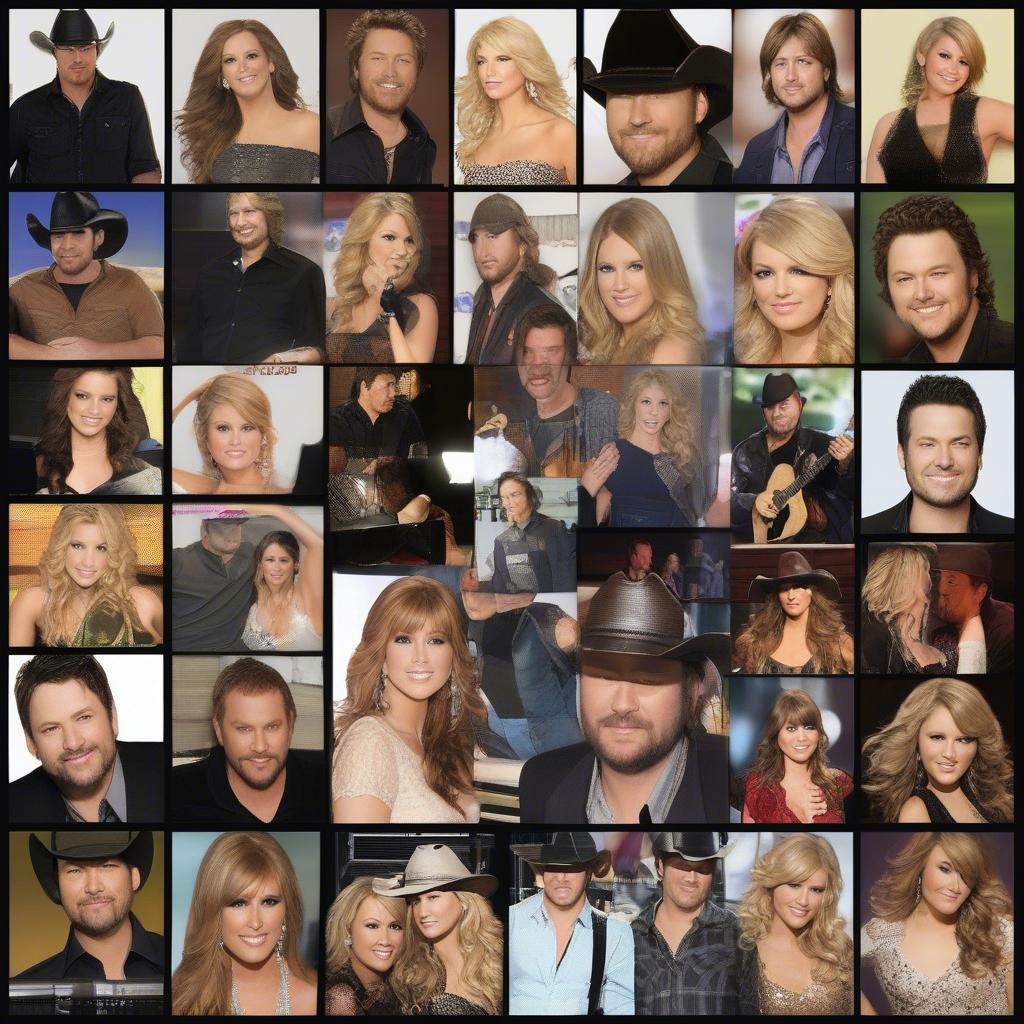 Country music stars dominating the 2010 charts