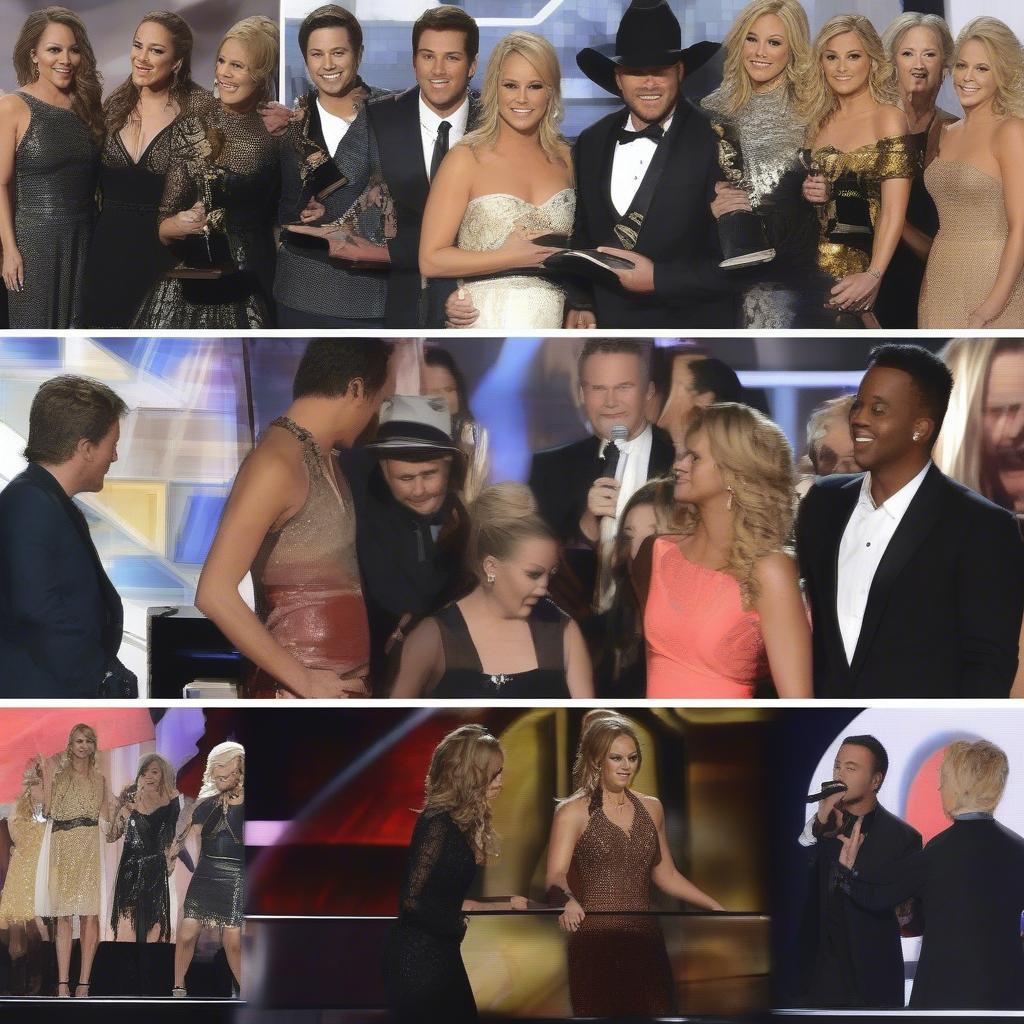 2015 Country Music Awards Highlights