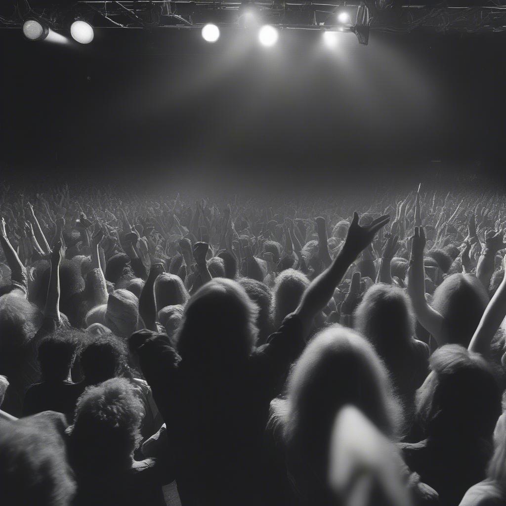 70s Rock Concert: A band performing on stage with a large crowd cheering.