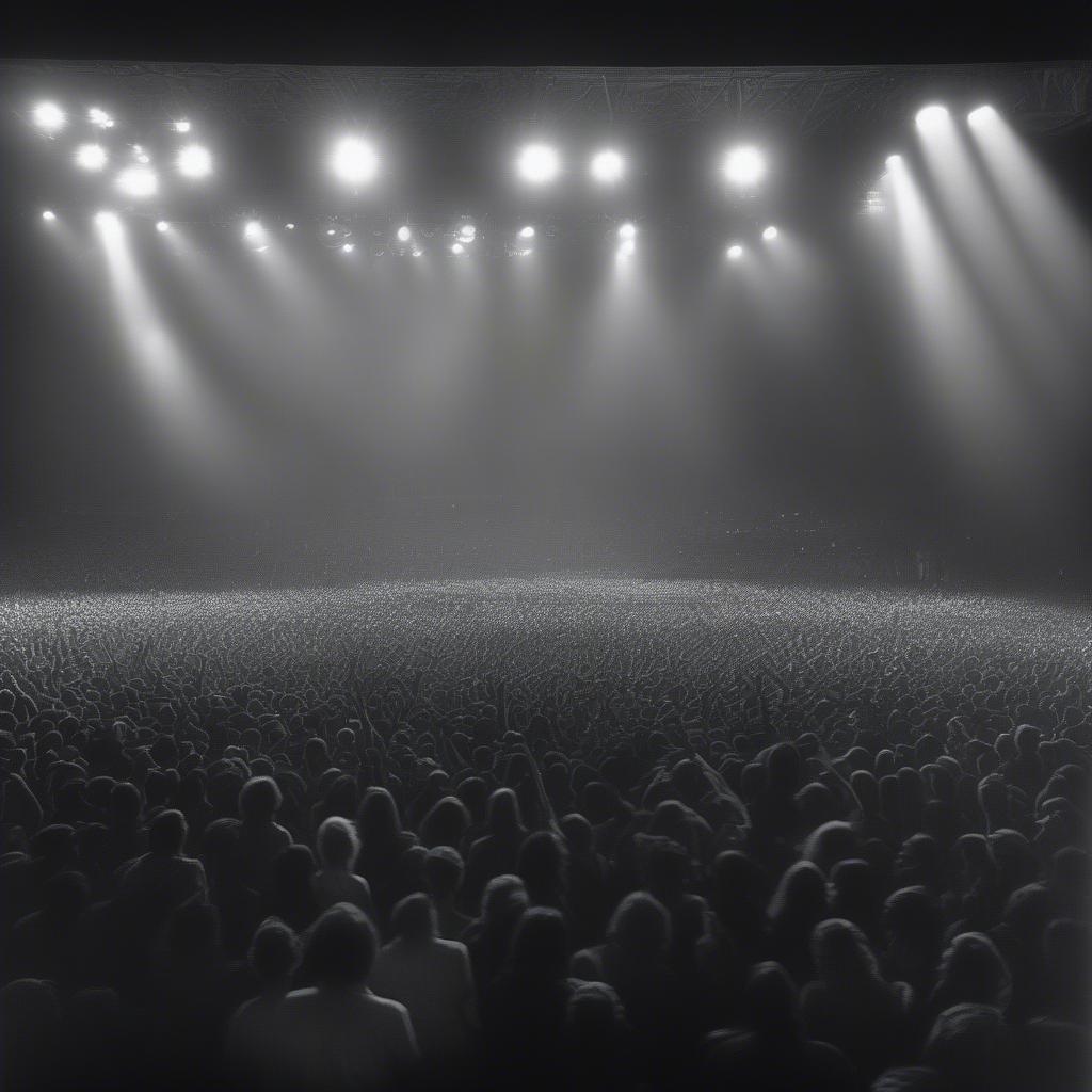 Crowd at a 70s rock concert