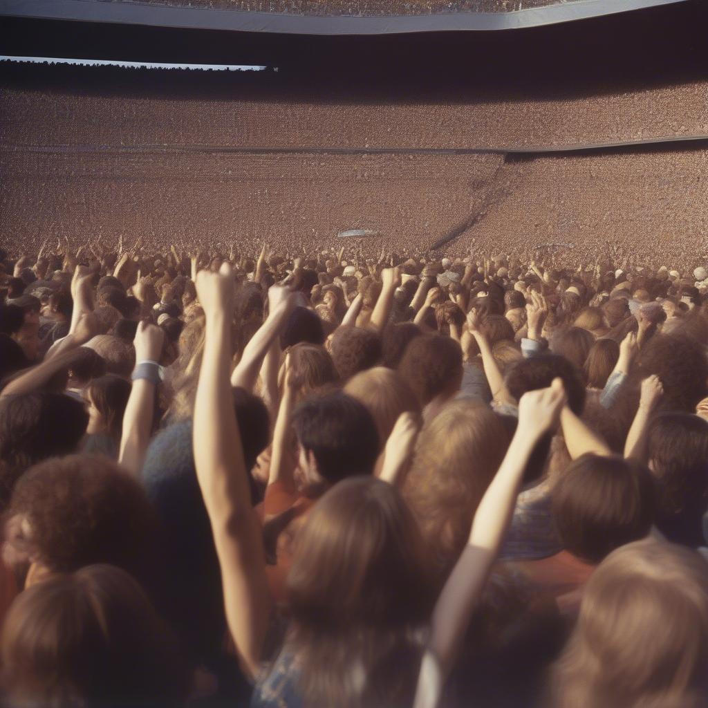 70s Rock Concert Crowd