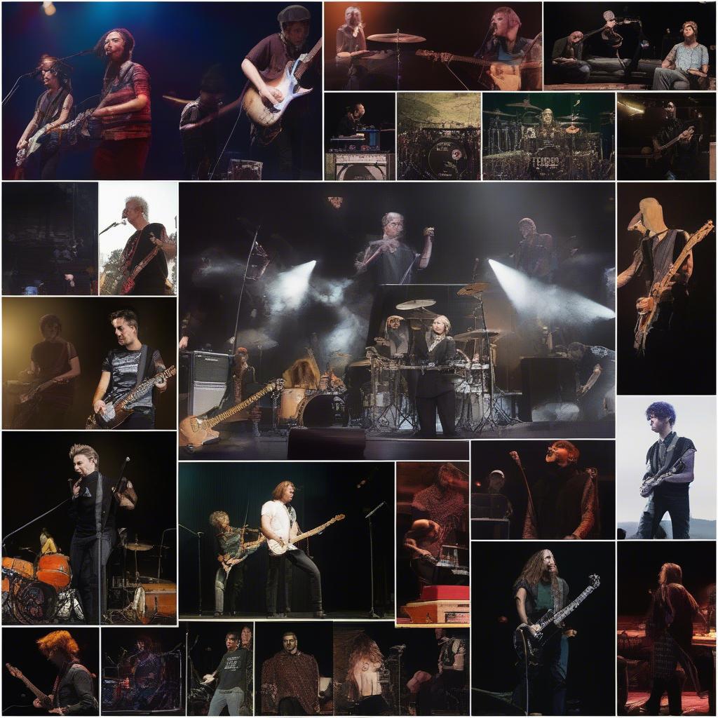 Various Alt-Rock Bands Performing Live in 2014