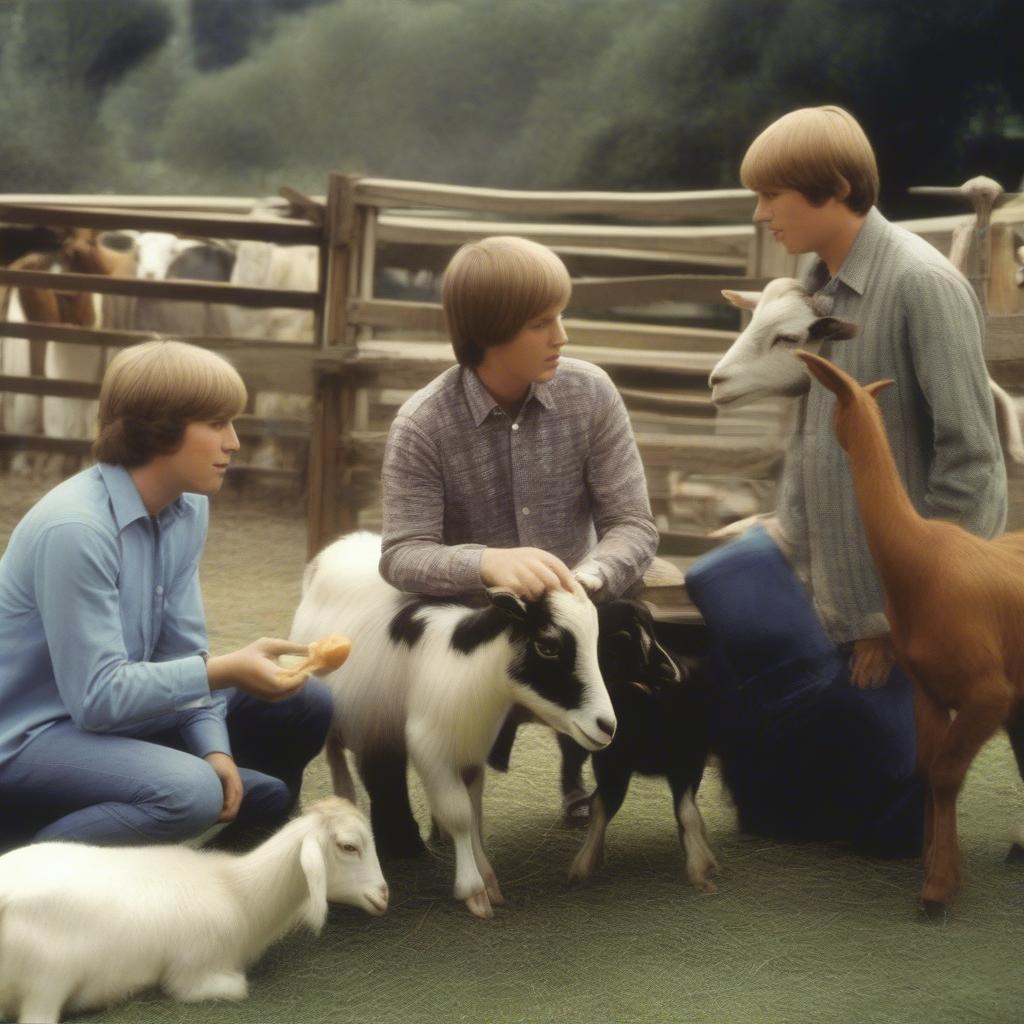 The Beach Boys Pet Sounds Album Cover