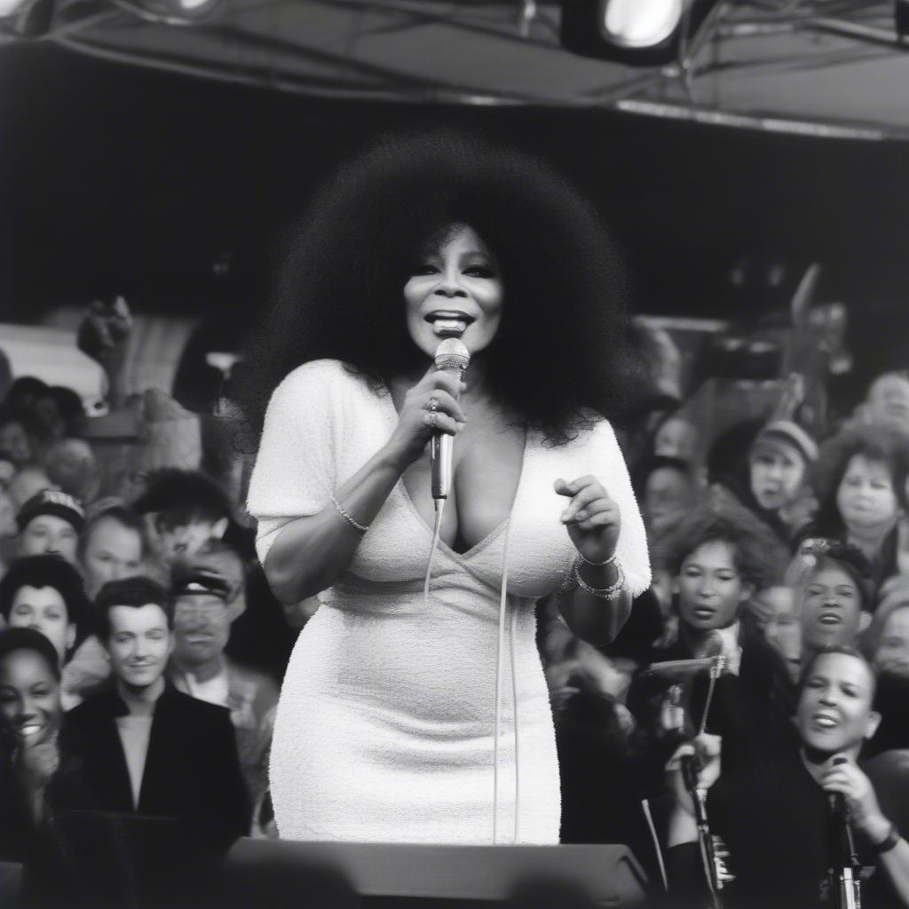 Chaka Khan performing at Pitchfork Music Festival 2018