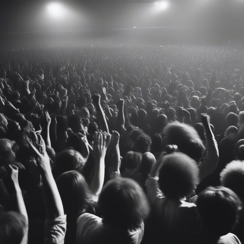 Classic Rock Concert: An Energetic Crowd