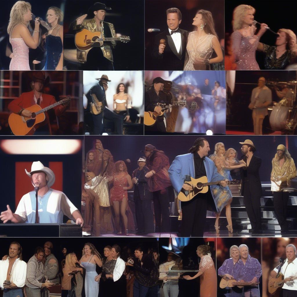 Country Music Awards Ceremonies of 1995