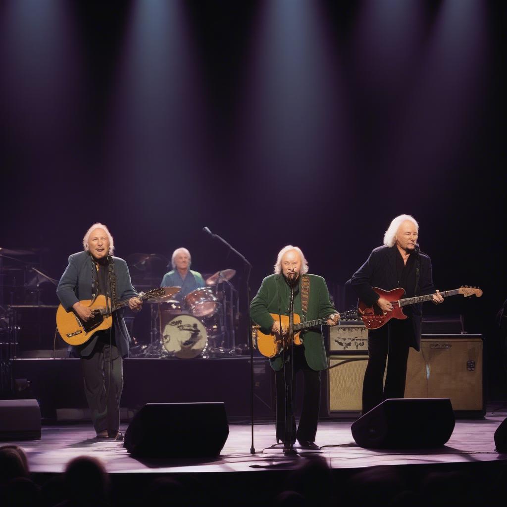 CSN performing live