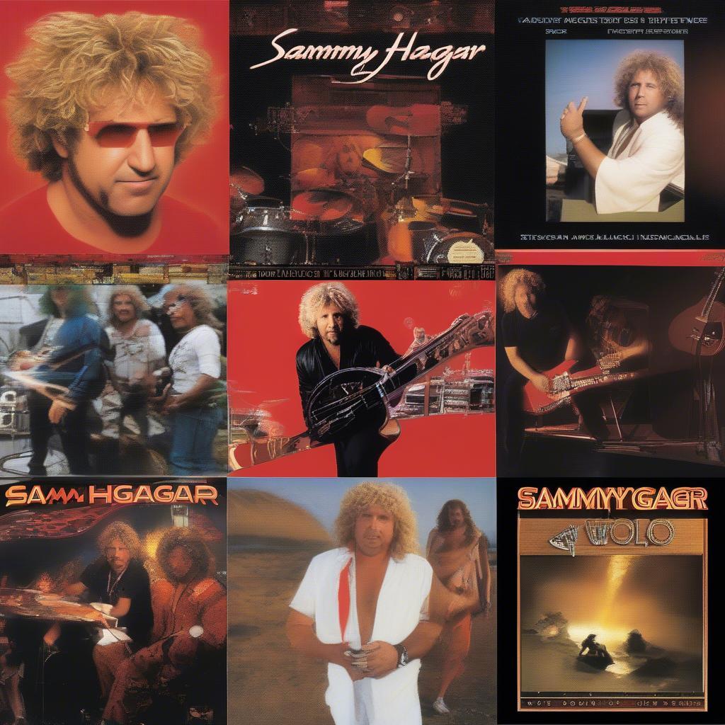 Sammy Hagar Solo Album Covers - Career Highlights