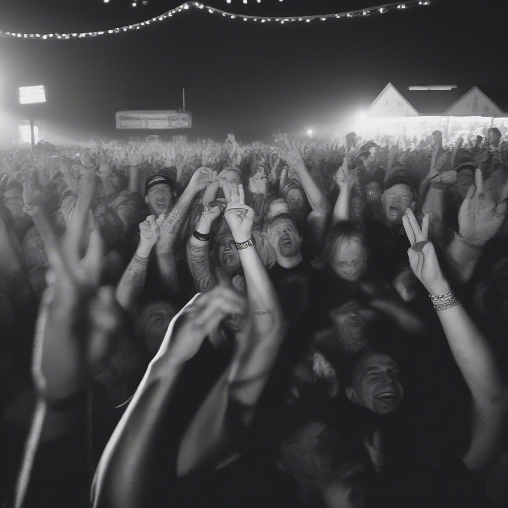 Sturgis Motorcycle Rally Crowd Cheering During a Concert