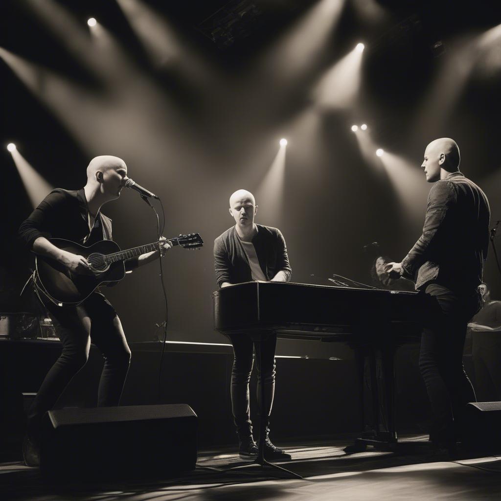 The Fray Performing Live