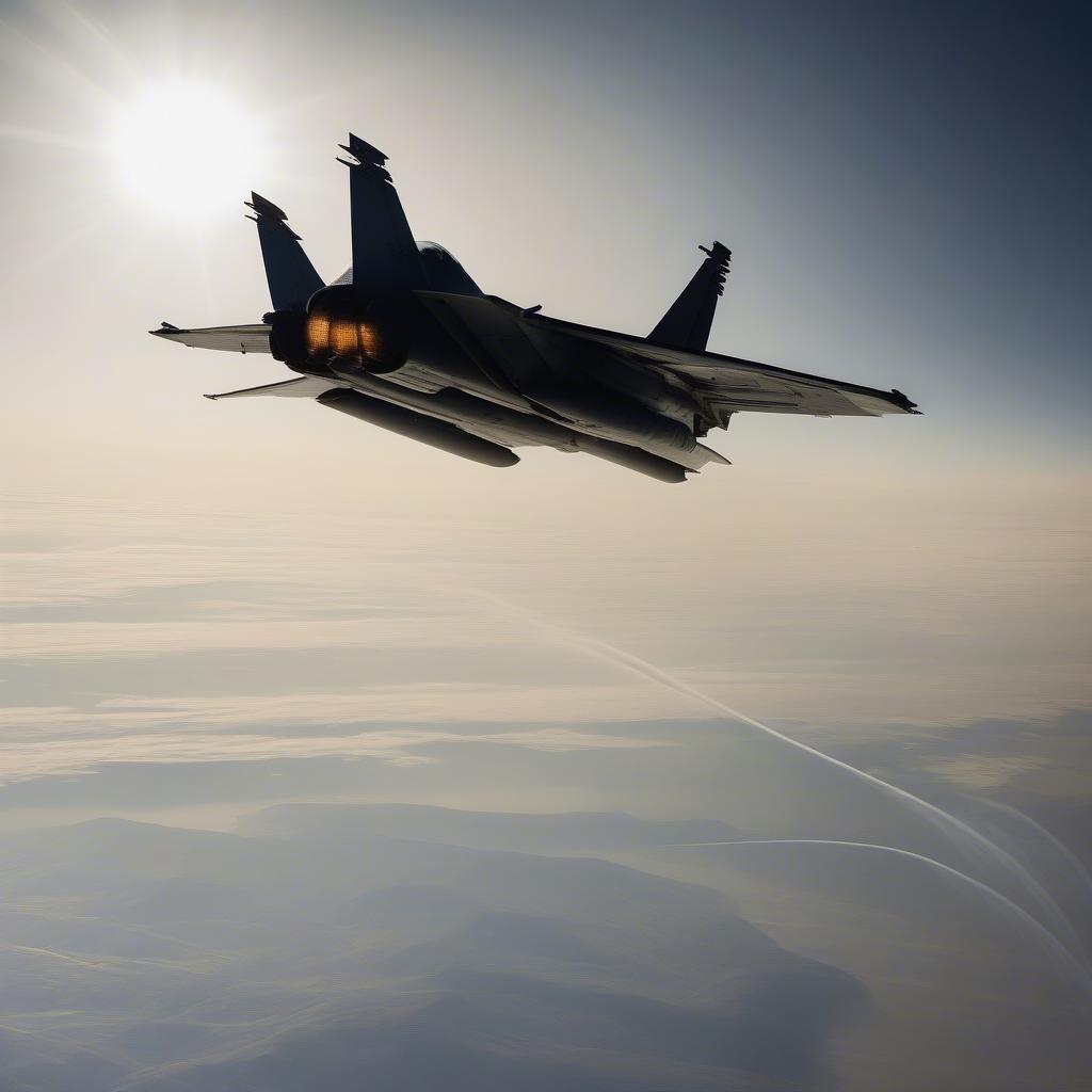 F-14 Tomcat soaring through the sky in Top Gun