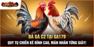 Đá Gà C2 Tại Ga179 – Quy Tụ Chiến Kê Đỉnh Cao, Mãn Nhãn Từng Giây!