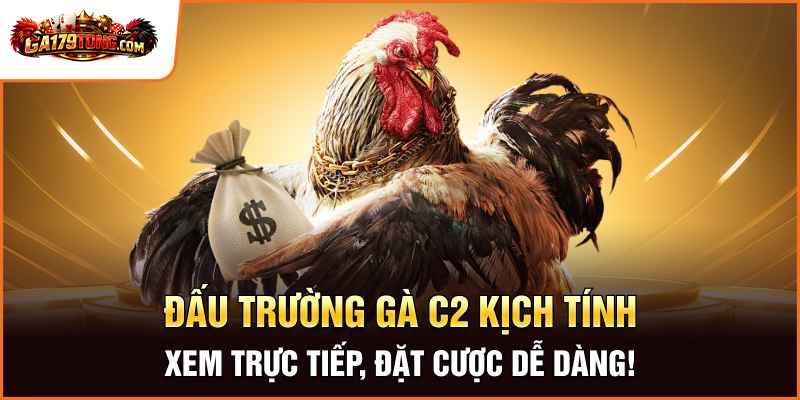 Đá Gà C2 Sân Chơi Giải Trí Được Nhiều Người Quan Tâm 2 Đấu Trường Gà C2 Kịch Tính – Xem Trực Tiếp, Đặt Cược Dễ Dàng!