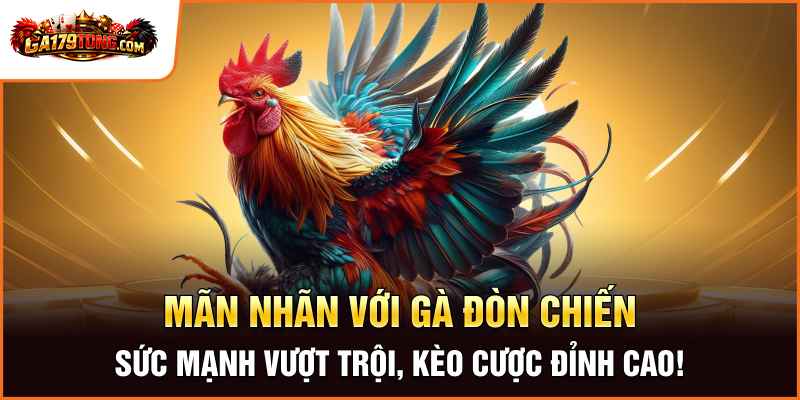 Mãn Nhãn Với Gà Đòn Chiến – Sức Mạnh Vượt Trội, Kèo Cược Đỉnh Cao!