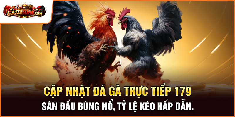 Đá Gà Trực Tiếp Bên Thomo Hấp Dẫn Mỗi Ngày Tại GA179 2 Cập nhật đá gà trực tiếp 179 Sàn đấu bùng nổ, tỷ lệ kèo hấp dẫn.