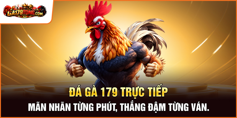 GA179 - Livestream Đá Gà 179 Sắc Nét , Nạp Rút Thần Tốc 26 Đá gà 179 trực tiếp - Mãn nhãn từng phút, thắng đậm từng ván.