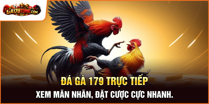 GA179 - Livestream Đá Gà 179 Sắc Nét , Nạp Rút Thần Tốc 29 Đá gà 179 trực tiếp - Xem mãn nhãn, đặt cược cực nhanh.