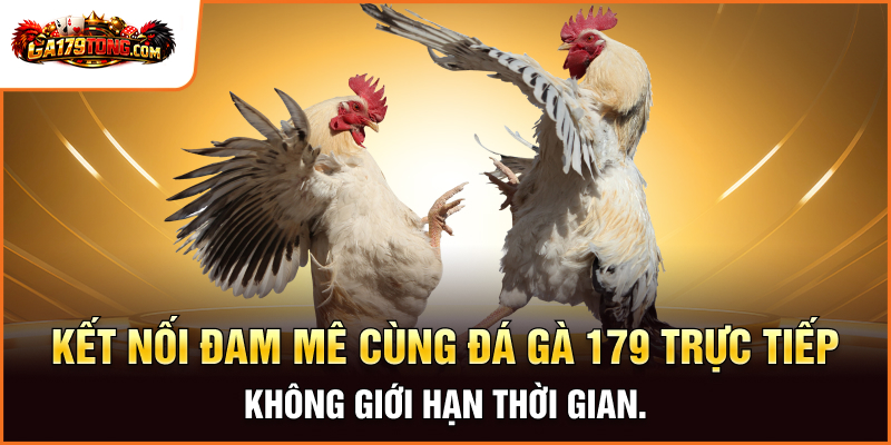 GA179 - Livestream Đá Gà 179 Sắc Nét , Nạp Rút Thần Tốc 27 Kết nối đam mê cùng đá gà 179 trực tiếp